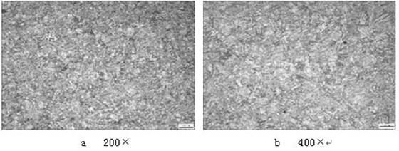 1Cr12Ni2WMoVNb 螺栓淬火回火金相組織