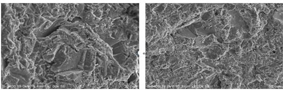 圖11-141 A區(qū)微觀(guān)形貌 圖11-142 A區(qū)微觀(guān)形貌