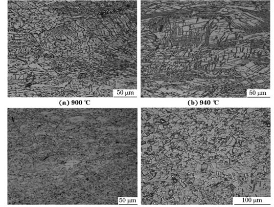 圖５ 在不同溫度、應(yīng)變速率為０．０１０s－１下壓縮至應(yīng)變量為７０％后GH４１６９合金的顯微組織