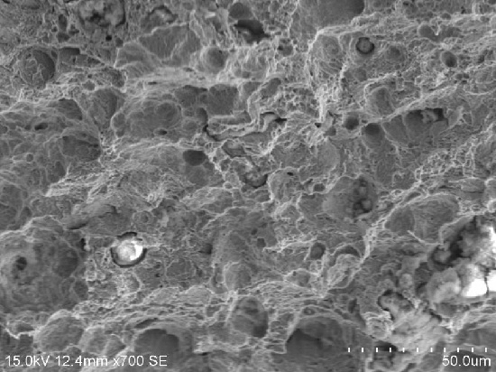 沖擊模擬斷口微觀形貌，韌窩特征