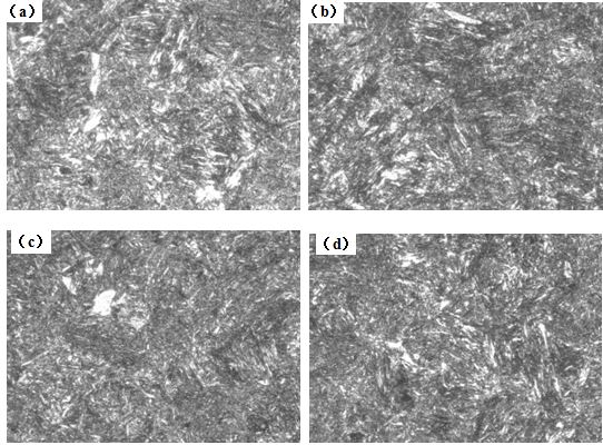 圖12-15 （a、b、c、d） 1～4號樣金相組織 500&times;