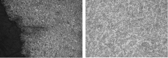 圖16-44 法蘭邊緣裂紋形貌 100&times; 圖16-45 線(xiàn)材退火組織 500&times;