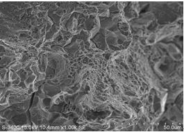圖12-7 瞬斷區(qū)微觀(guān)形貌