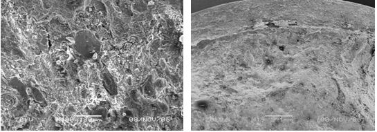 圖13-116 斷口心部微觀形貌 圖13-117 斷口邊沿微觀形貌，