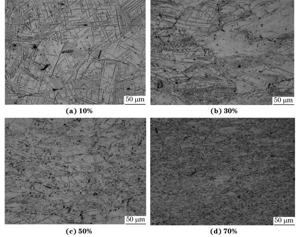 圖４ 在９８０ ℃、應(yīng)變速率為０．０１０s－１