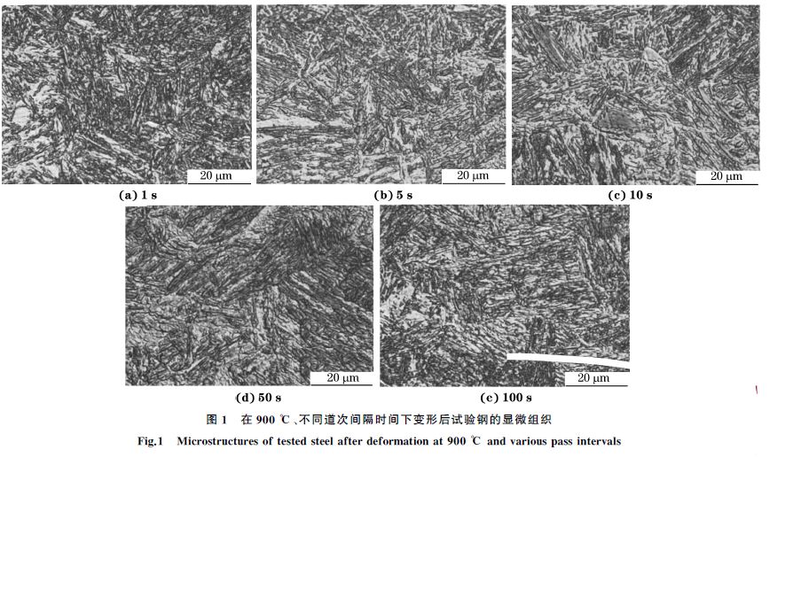 圖１ 在９００ ℃、不同道次間隔時間下變形后試驗鋼的顯微組織